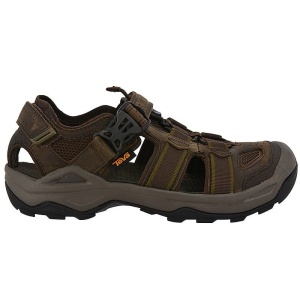 TEVA 1019179